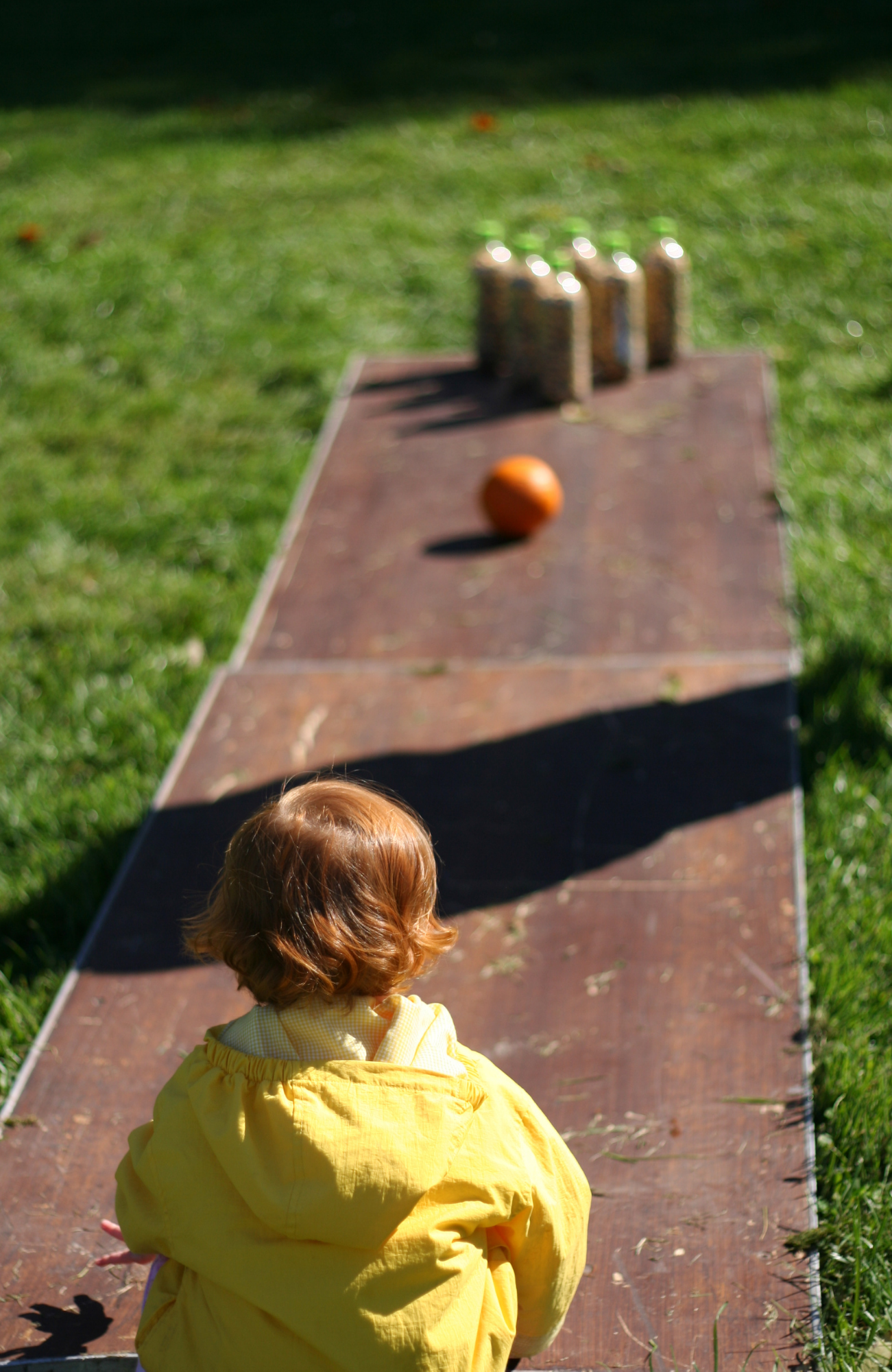 Backyard bowling