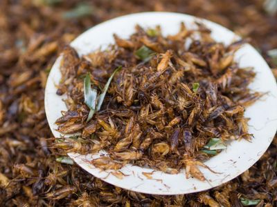 Crickets on a plate