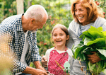 family gardening