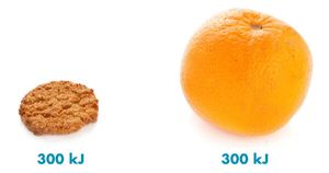 snack smarter orange v biscuit