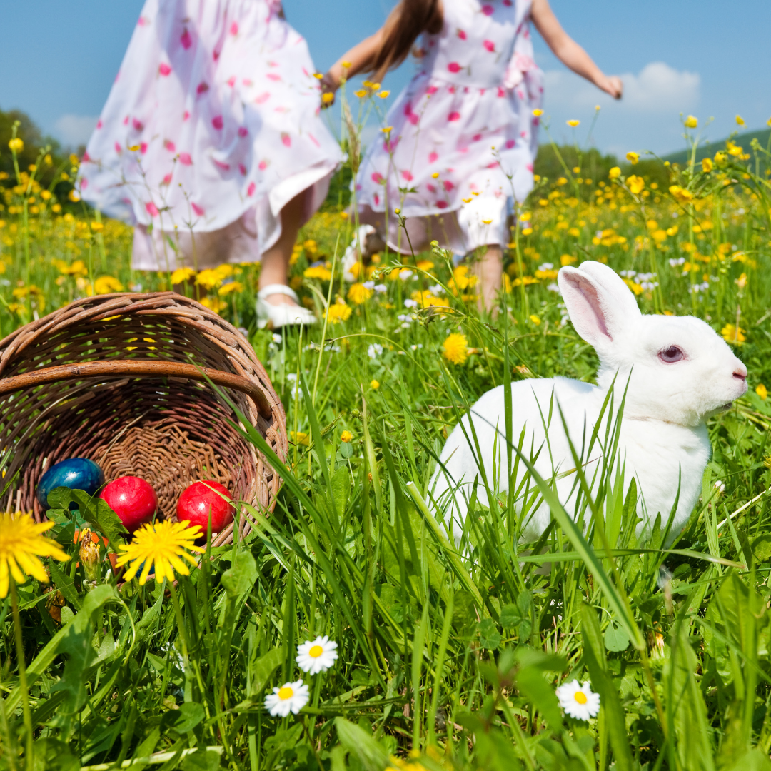 Easter egg hunt in a field