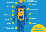 overweight and cancer risk