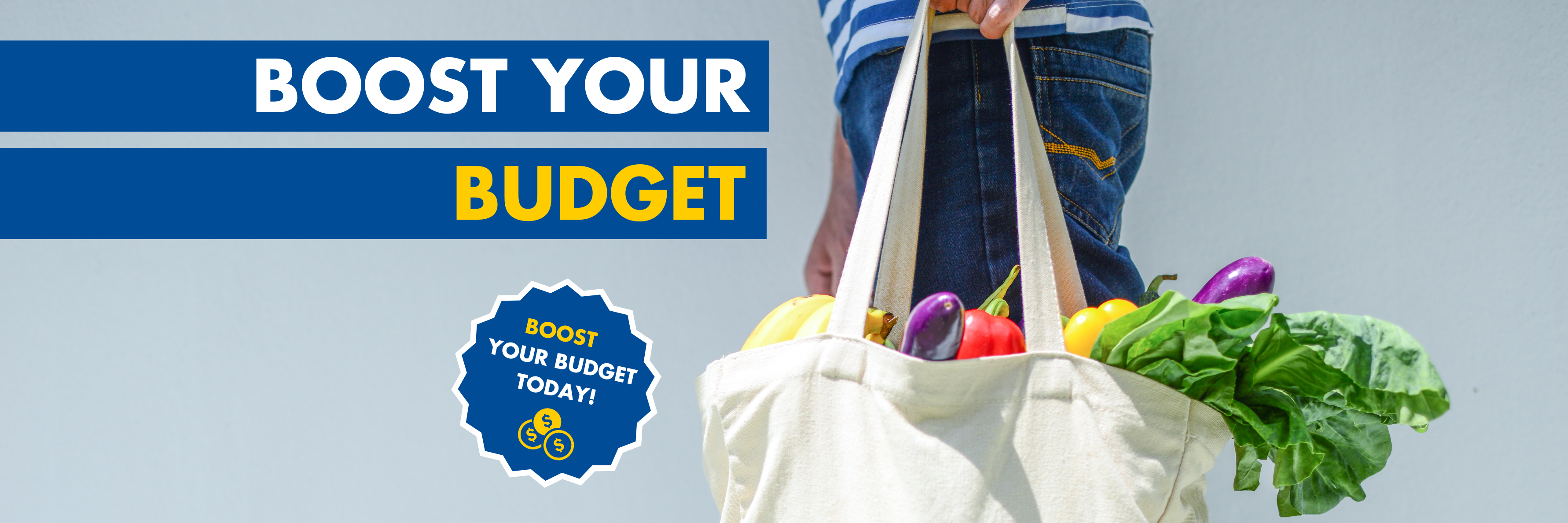 Boost your budget header image