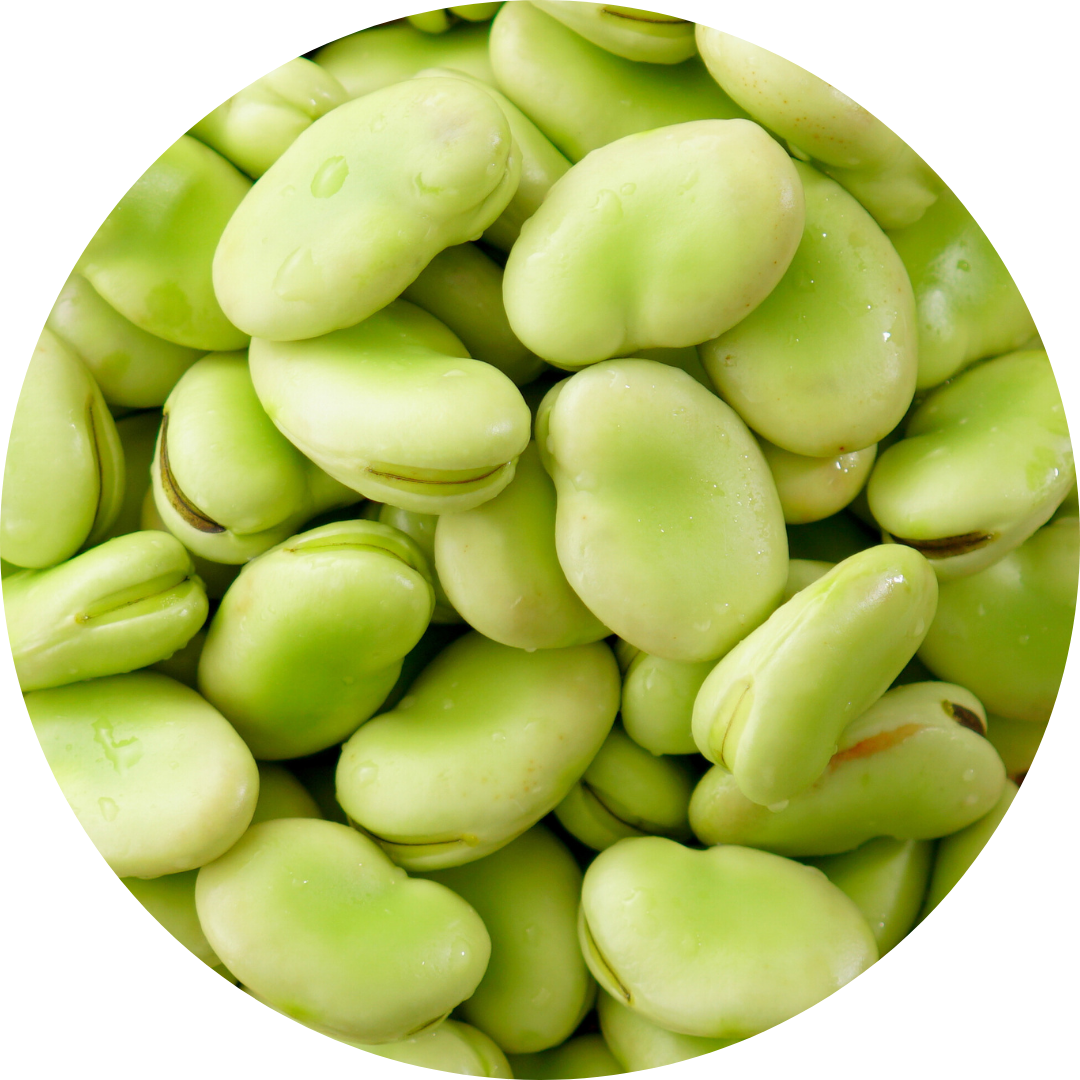 Broad beans