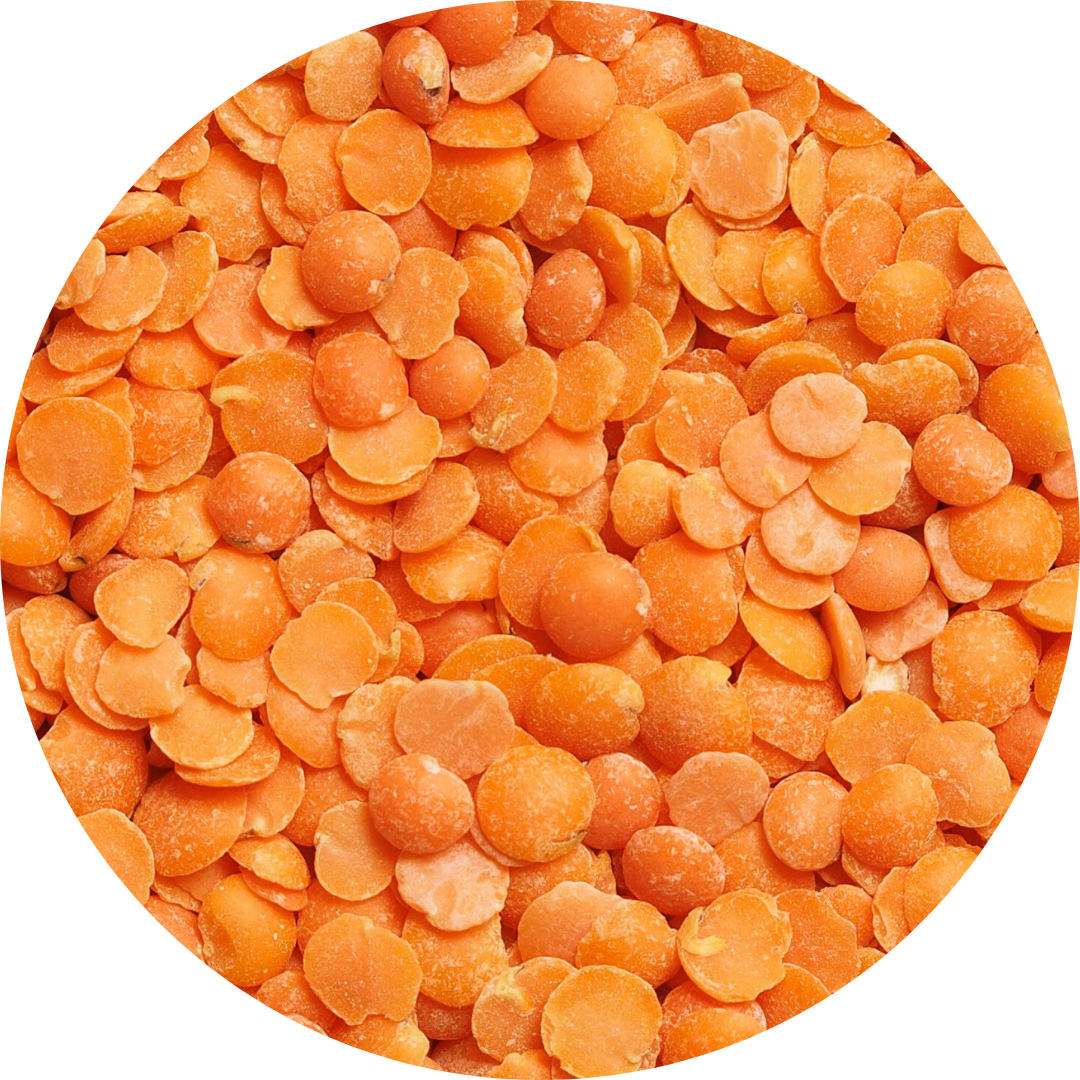 Red lentils