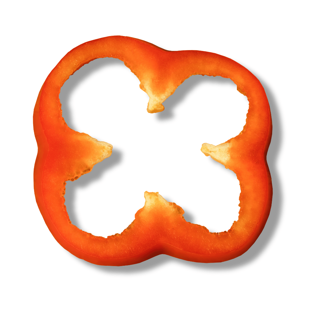 slice of capsicum