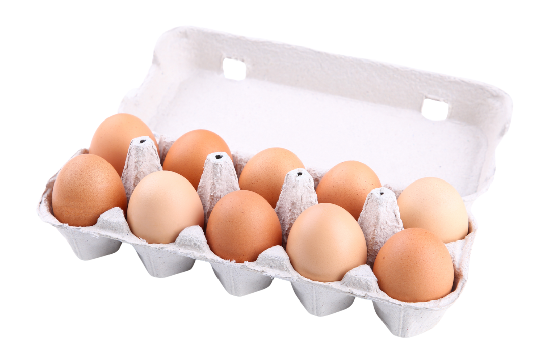 A dozen eggs in an egg carton