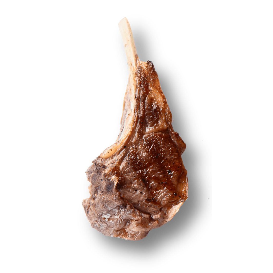 lamb cutlet