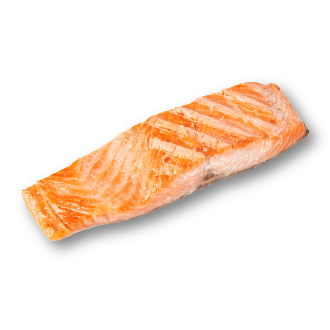salmon grilled