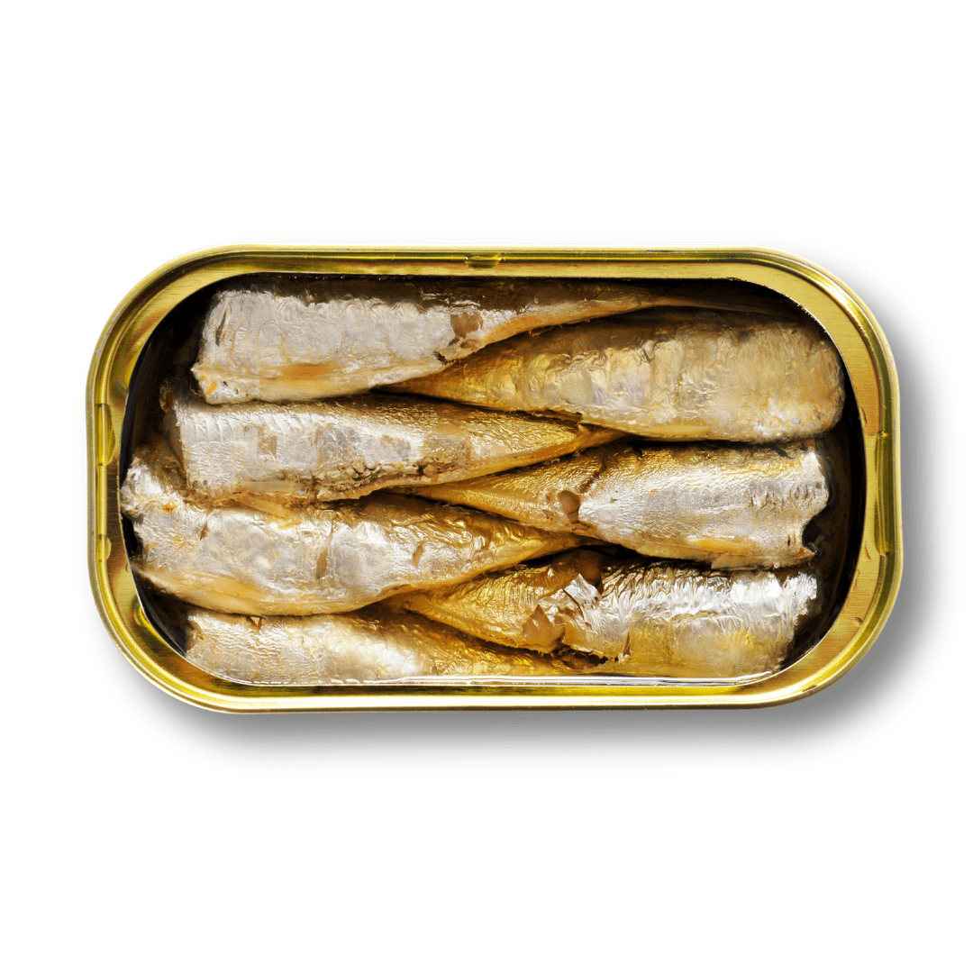 tin of sardines