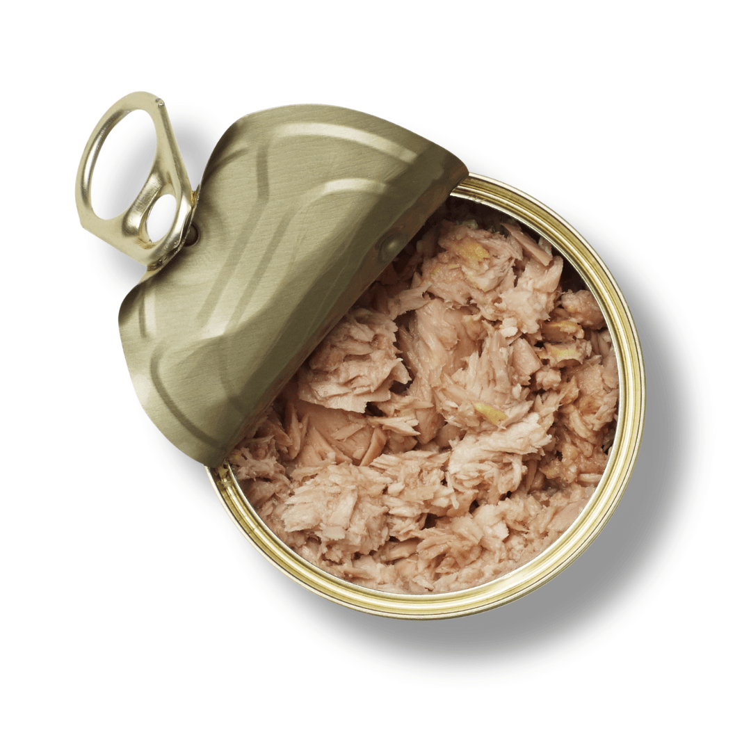 tin of tuna