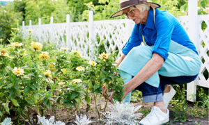 older woman wearing a sunhat bending down to garden