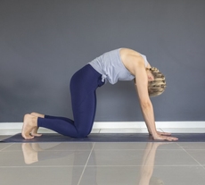 Cat pose