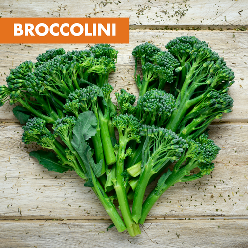 Broccolini