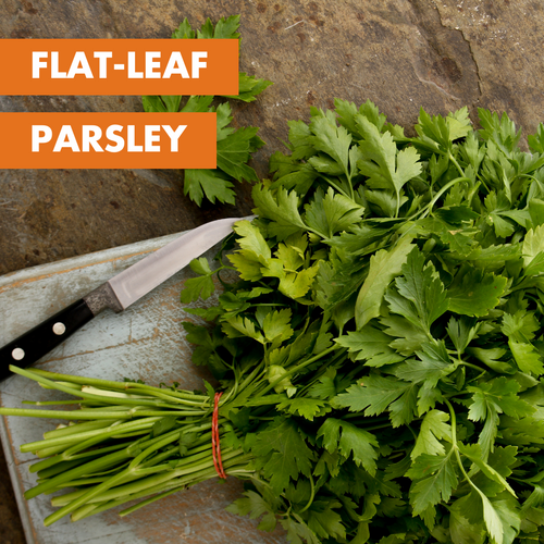 Parsley