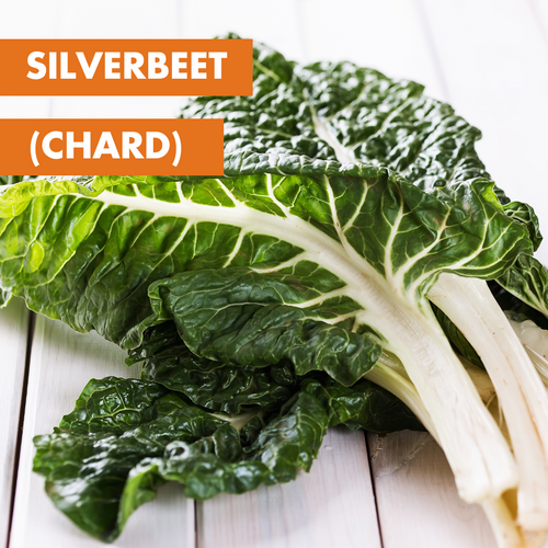 Silverbeet