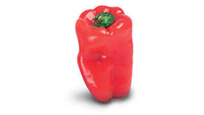 red capsicum