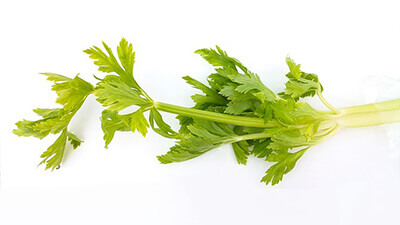 Celery