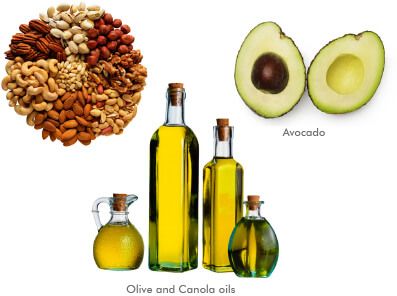 Examples of monounsaturated fats - nuts, avocado, olive and canola oils