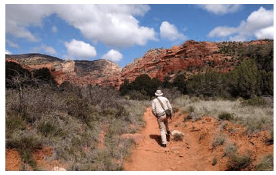 Man hiking in the bush