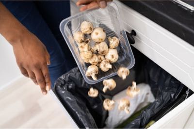 mushrooms in the bin