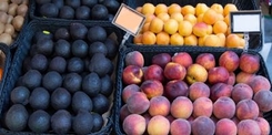 display of seasonal fruits