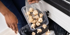 food scraps