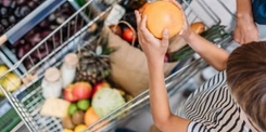child placing a butternut pumpkin in the trolley