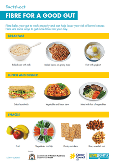 Fibre factsheet