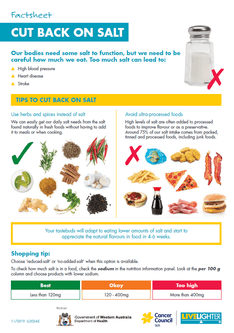 Cut Back on Salt factsheet thumbnail